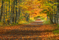 ​关于奋斗的句子说说心情短语 奋斗的句子说说心情抖音