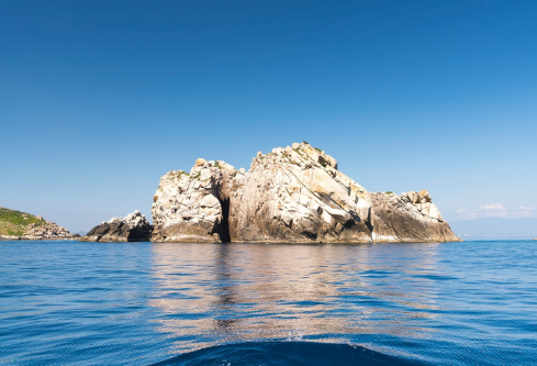 1709245037319123.png image.png