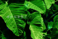 ​人生珍惜的句子说说心情短语