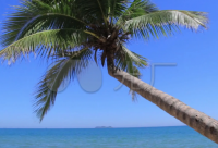 ​夏至的创意说说2024疫情期间（精选）