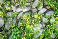 ​这些年走过的心酸说说精选