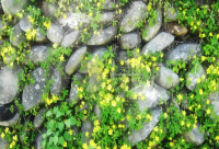 ​关于忙了一天一夜终于休息的说说句子