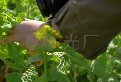 1709251680583338.png image.png