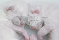 ​特别自卑朋友圈心情说说2024疫情期间（精选）