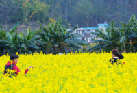 ​累了的说说精选