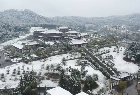 1709262472212577.png image.png