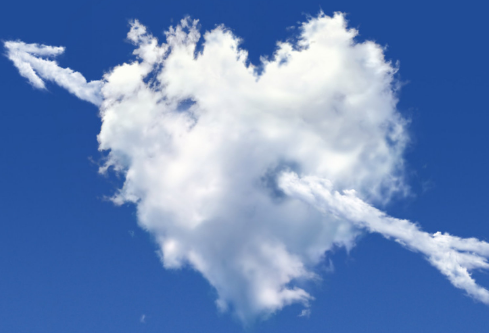 1709277179887229.png image.png