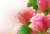 ​最流行的搞笑说说大全精选