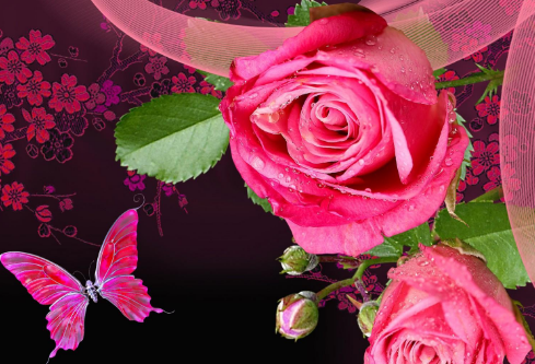 1709279502308193.png image.png