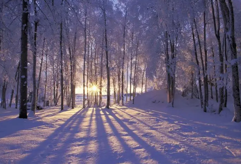 1709281330138467.png image.png