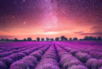 ​幸福的两口子句子说说心情精选