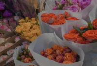 ​音乐是最好的陪伴说说精选