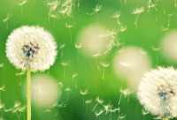 ​天冷了该买衣服的幽默说说2024（精选）