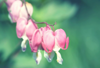 ​这一年的感悟说说精选