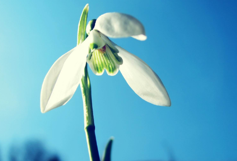 1709288634468831.png image.png