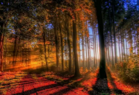 ​草莓的唯美说说简短2024疫情期间（精选）