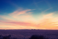 ​11月再见12月你好说说 11月再见12月你好美文说说2024