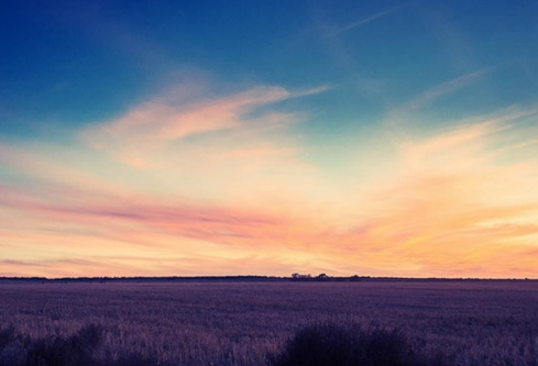 1709288965520899.png image.png