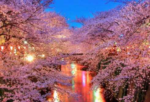 1709289463119374.png image.png