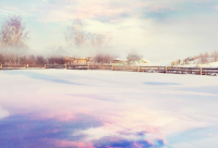 ​关于真心付出的人总是容易被辜负 真心付出换来却是寒心说说