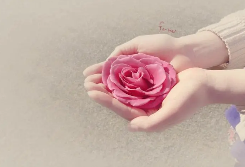 1709292615795227.png image.png