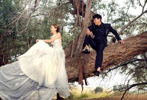 1709293444128449.png image.png