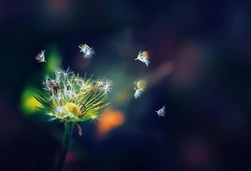 1709293942805813.png image.png