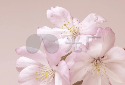 1709294937843465.png image.png