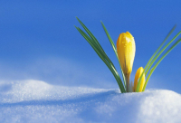 ​生活一点都不自由的说说2024疫情期间（精选）