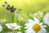 ​关于冬至和闺蜜一起过的朋友圈说说 冬至说说和闺蜜一起过的句子