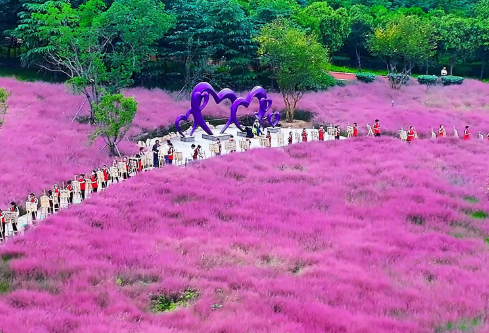 1709296929498953.png image.png