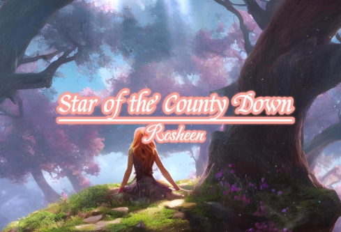 1709297426133798.png image.png