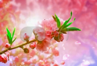 ​开心聚会的心情说说2024疫情期间（精选）