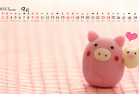 ​正月十五元宵节放孔明灯的说说2024疫情期间（精选）