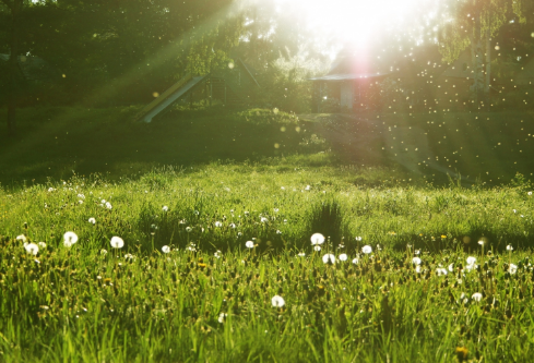 1709304731101529.png image.png