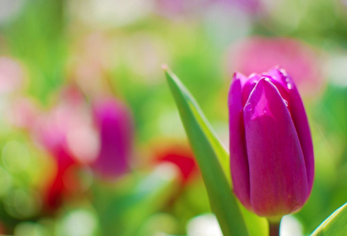 1709305561989644.png image.png