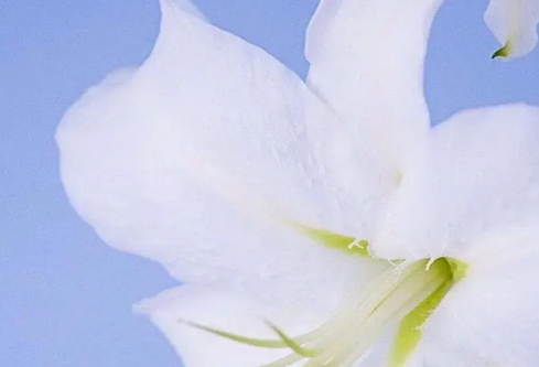 1709310373443184.png image.png