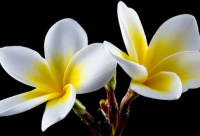 ​一个人下雨天的心情说说精选