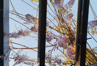 ​减肥路上的绊脚石幽默说说精选