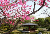 ​关于可爱调皮的说说句子简短超甜 超级可爱调皮的句子