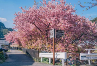 ​关于眼睛好累好难受的感受说说 眼睛太累了想休息的句子