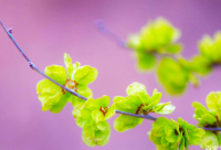 ​单身一个人的专属说说精选