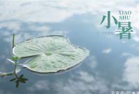 ​圣诞节暖心的情话说说疫情期间（精选）