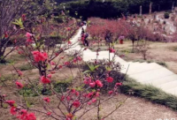 ​社恐发朋友圈的心情说说2024疫情期间（精选）