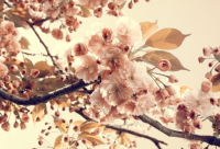 ​心痛难过的说说心情短语精选