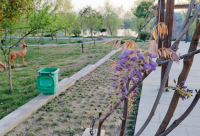 ​生活太多苦和累的说说精选