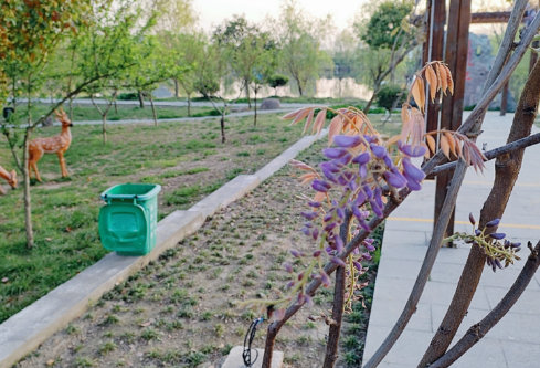 1709318505659978.png image.png