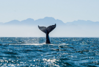 ​心情压抑出去散心的说说精选