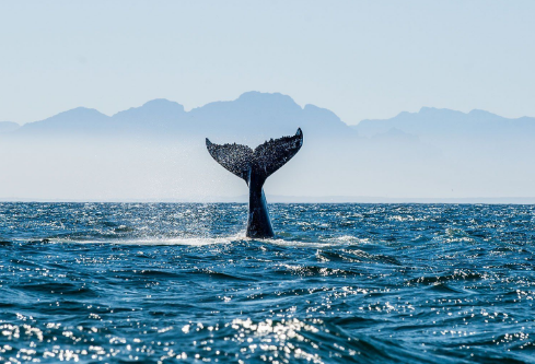 1709320330623917.png image.png