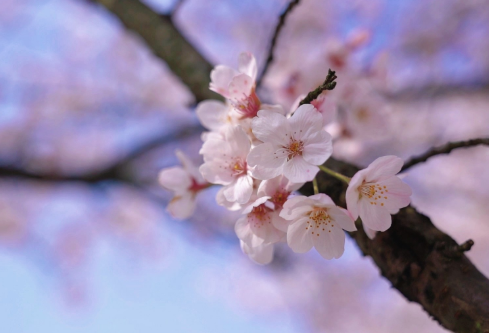 1709321159844455.png image.png